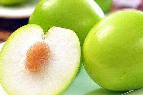 Táo ta - vị thuốc an thần, chữa mất ngủ