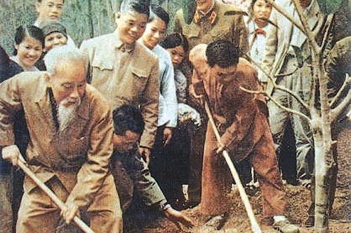 Nhớ Tết trồng cây đầu tiên của Hà Nội