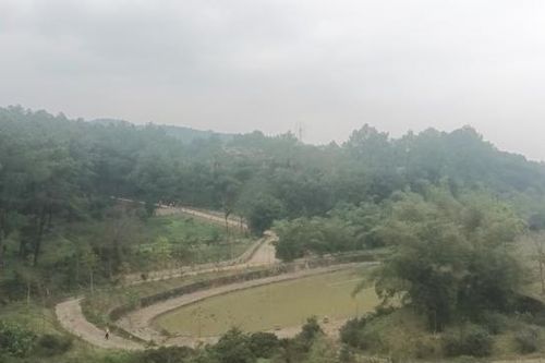 Hà Tĩnh: Đầu Xuân vãn cảnh ngôi chùa độc đáo trong hang đá