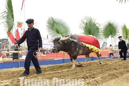 Tuyên Quang, Hòa Bình tổ chức ngày hội đầu xuân mới