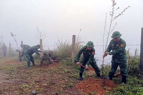 Các địa phương, đơn vị hưởng ứng Tết trồng cây