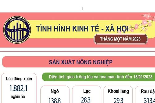 Chỉ số giá tiêu dùng tháng 1 chỉ tăng 0,52%