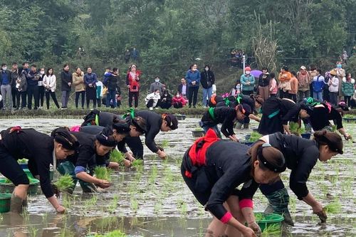 Lễ hội Lồng tồng - nét văn hóa đặc sắc của người Tày ở Hà Giang