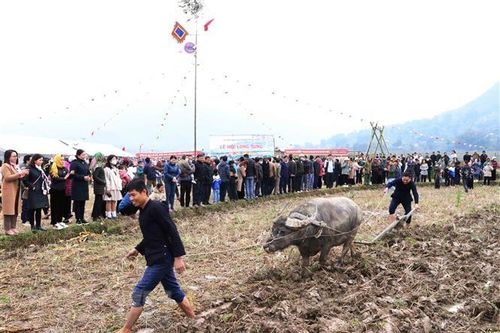 Lai Châu: Tưng bừng lễ hội Lùng Tùng của người Thái ở Than Uyên