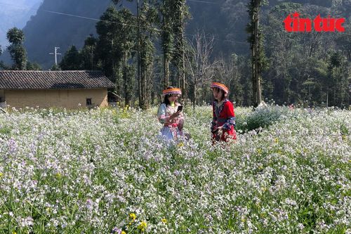 Làng văn hóa du lịch cộng đồng Lũng Cẩm hấp dẫn du khách