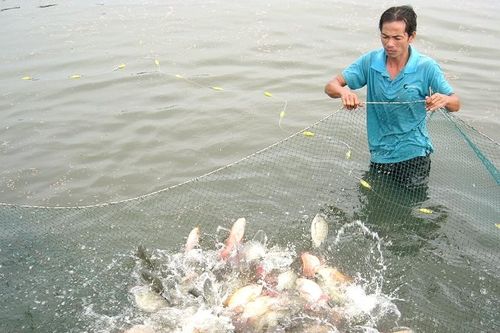 Trách nhiệm bảo vệ thủy sản