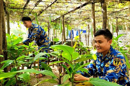 Để Trường Sa thêm xanh