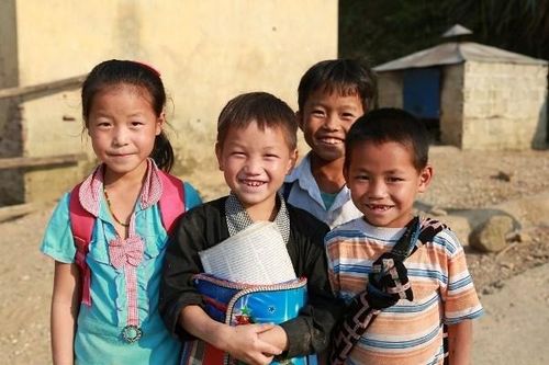 Lấy ý kiến sửa đổi Nghị định về phổ cập giáo dục, xóa mù chữ