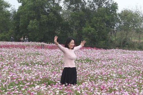 Du khách thích thú tham quan vườn hoa đa sắc ven TP. Đồng Hới