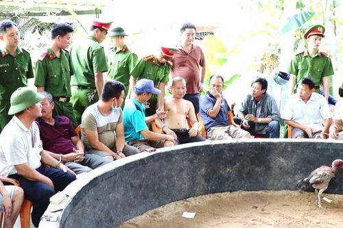 Chơi tá lả, đá gà ăn tiền có phạm tội đánh bạc?