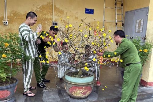 Tết ấm