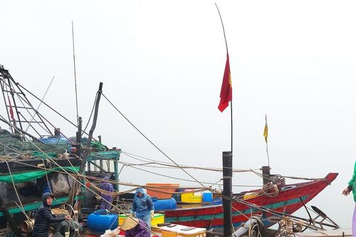 Trúng 'lộc biển' cuối năm