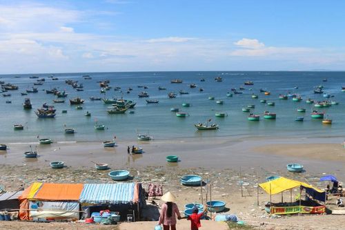 Yêu cầu tháo dỡ toàn bộ hàng quán sau vụ du khách 'tố' tiểu thương làng chài Mũi Né cân gian dối