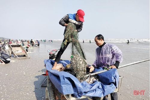 Ngư dân Lộc Hà phấn khởi cào 'lộc biển', thu tiền triệu đầu năm