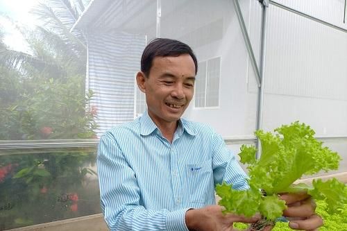 Vườn rau sạch thu trăm triệu mỗi tháng ở Cà Mau