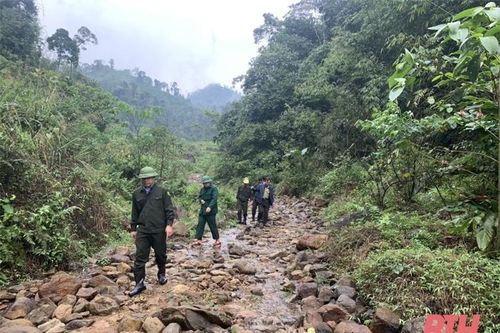 Lang Chánh chủ động bảo vệ và phát triển rừng bền vững
