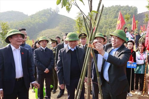 Chủ tịch Quốc hội Vương Đình Huệ dự lễ phát động thi đua và Tết Trồng cây tại Tuyên Quang