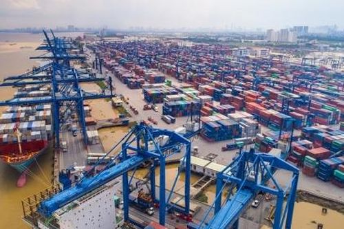 Tân Cảng Sài Gòn nộp ngân sách nhà nước trên 1.900 tỷ đồng