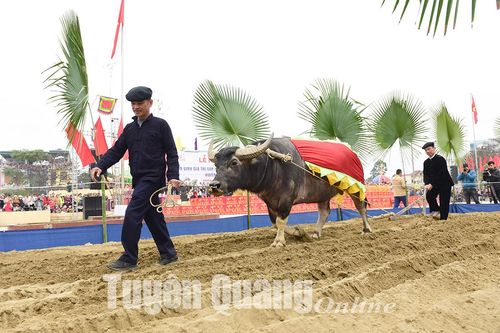 Nô nức Lễ hội Lồng Tông - Ngày hội xuống đồng của dân tộc Tày
