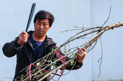 Không phải là việc nhỏ...