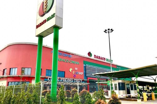 Biên lợi nhuận gộp giảm mạnh, Dabaco lần đầu báo lỗ sau 5 năm