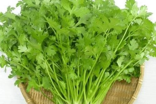 Rau mùi đã được đưa ra khỏi danh mục kiểm soát an toàn thực phẩm của EU