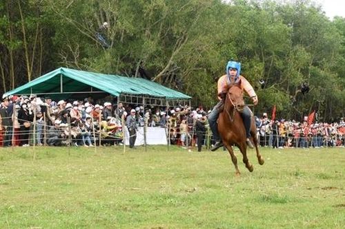 Đến Phú Yên xem nông dân trổ tài đua ngựa