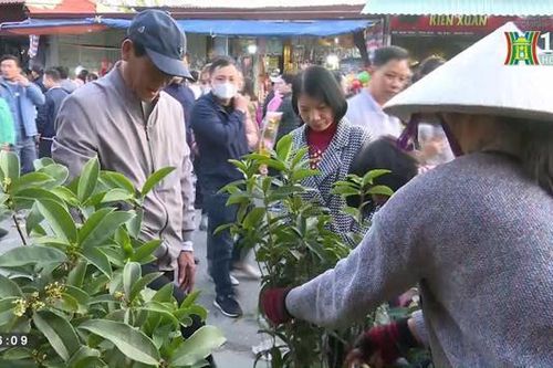 Tấp nập du khách đến với chợ Viềng