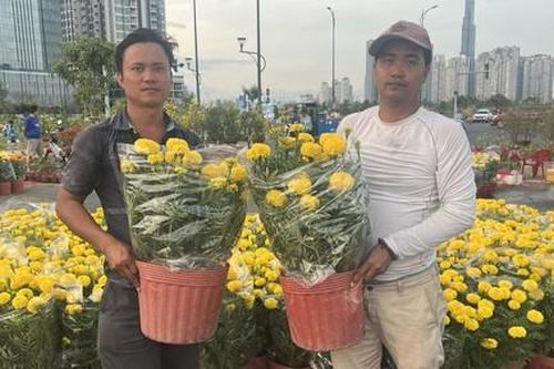 Hoa Tết: Đừng để hương thơm thành nỗi niềm cay đắng