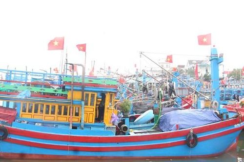 Ngư dân phấn khởi vươn khơi đón lộc biển đầu năm
