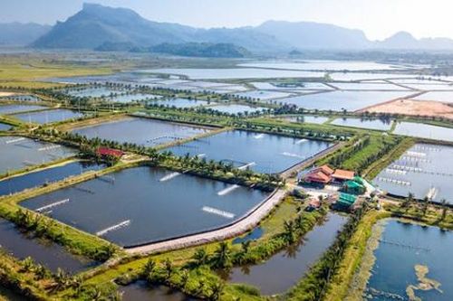 Chỉ đạo, điều hành của Chính phủ, Thủ tướng Chính phủ ngày 30/1