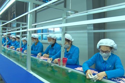 Hà Nam: Gần 100% số lao động trong các khu công nghiệp trở lại làm việc sau kỳ nghỉ Tết