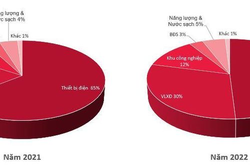 Năm 2022, Tập đoàn GELEX ghi nhận kết quả kinh doanh tích cực