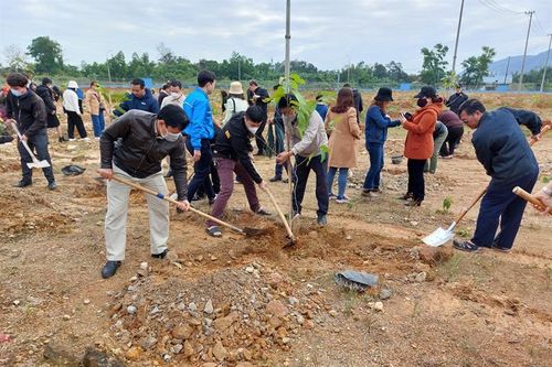 Hơn 200 đoàn viên, người lao động thành phố Đà Nẵng tham gia 'Tết trồng cây'
