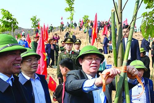 Người trồng rừng phải giàu lên từ rừng