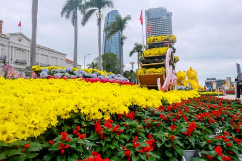 Đường hoa Xuân Quý Mão ở Đà Nẵng mở cửa thêm 10 ngày