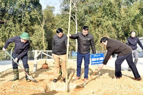 Hàng nghìn cây xanh được trồng mới tại Bắc Kạn