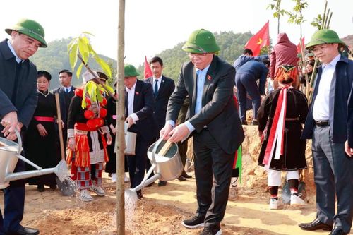 Xây dựng Tuyên Quang là trung tâm lâm nghiệp ứng dụng công nghệ cao