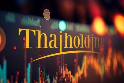 Cơ cấu lợi nhuận thay đổi tích cực, Thaiholdings báo lãi 337 tỷ đồng năm 2022