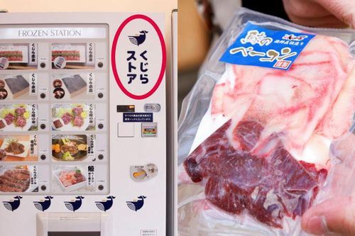 Nhật Bản mở bán thịt cá voi qua máy bán hàng tự động, giá rẻ bất ngờ
