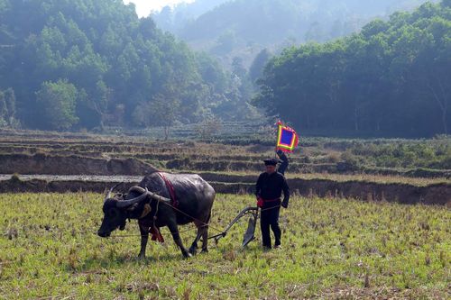 Thái Nguyên: Rộn ràng lễ hội Lồng Tồng ở chiến khu Việt Bắc