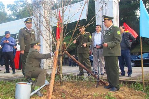 Tết trồng cây: Việc làm thiết thực để thực hiện mục tiêu phát triển bền vững
