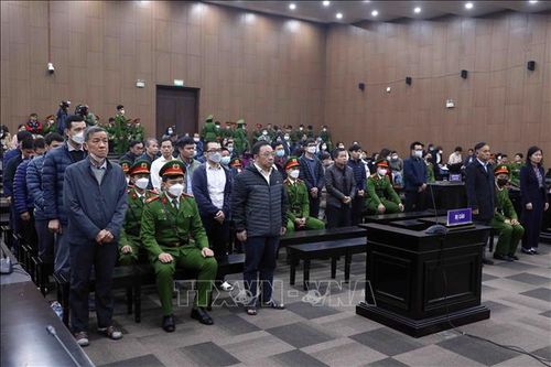 Vụ AIC thông thầu: 16 bị cáo kháng cáo, AIC xin xét lại mức bồi thường
