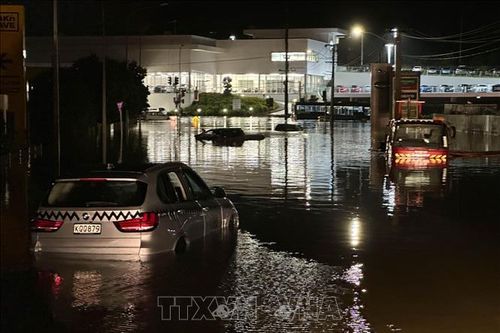 New Zealand: Tăng hỗ trợ tài chính cho Auckland khắc phục hậu quả mưa lũ