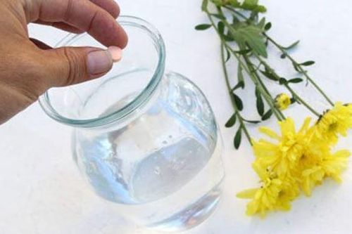 Cắm hoa đừng chỉ dùng nước lã, thêm vài giọt này để hoa tươi lâu, cả tuần không héo
