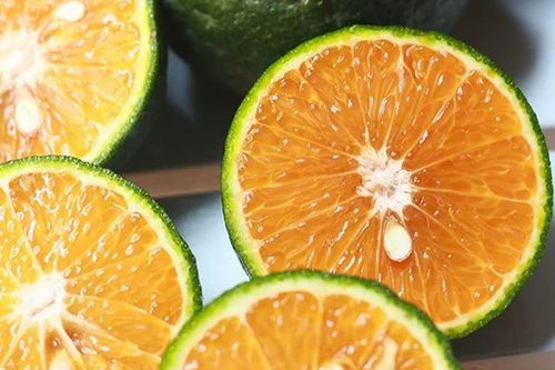 Vắt cam nhớ 3 điểm này, nước cam ngọt thơm, không đắng lại giữ nguyên chất bổ