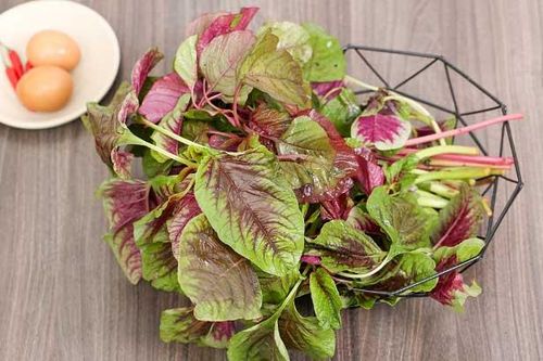 Ngồi ngay trên 5 loại 'rau trường thọ' có đầy ở Việt Nam mà ai cũng nhầm tưởng đây là thứ 'cỏ rẻ tiền'