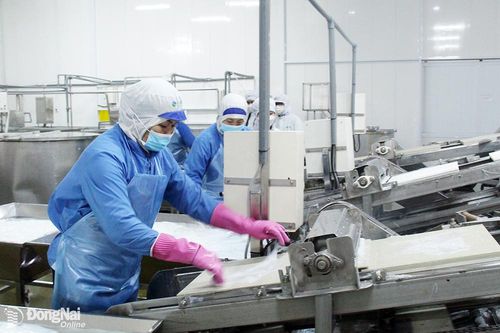 Doanh nghiệp cần chủ động hơn