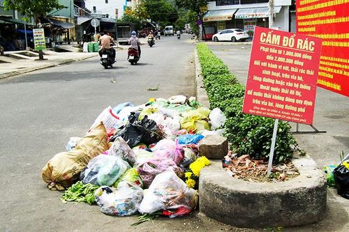 Vẫn vứt rác ra lòng đường nơi có biển cấm