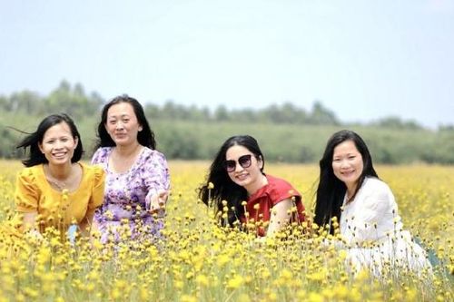 Đồng Tháp: Các khu điểm du lịch hấp dẫn khách du xuân